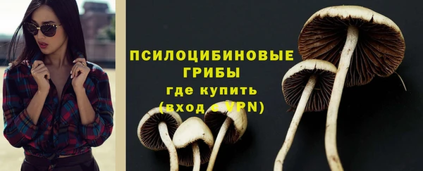 герыч Алексин