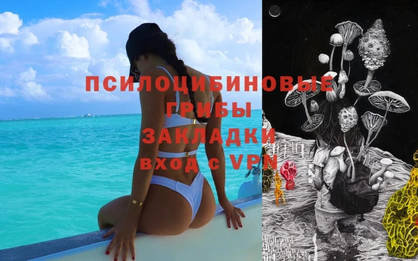 герыч Алексин