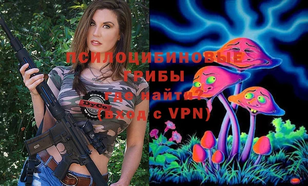 герыч Алексин